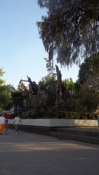 Remnants of the "Tree of the Sad Night" in the Popotla neighborhood, historically part of Tacuba.