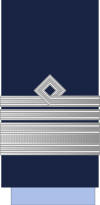 Argentina-AirForce-OF-7.svg