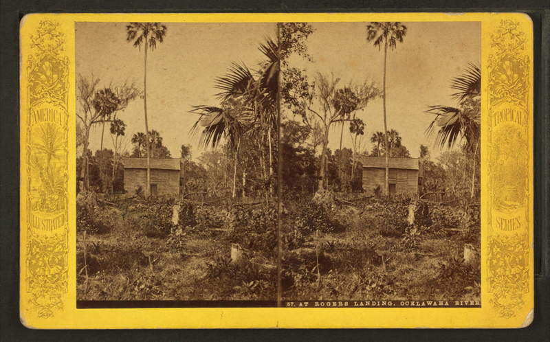 File:At Roger's Landing, Oklawaha River, Fla, from Robert N. Dennis collection of stereoscopic views.png