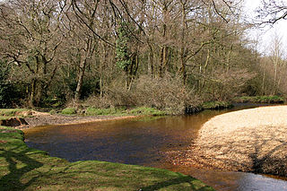 Avon Water, Hampshire small river in the south of England
