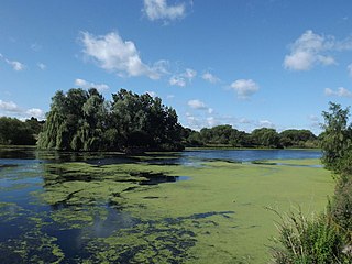 <span class="mw-page-title-main">Babbs Mill Lake</span> Small lake in Solihull, England