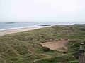 Thumbnail for Bamburgh Dunes