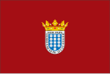 Медина-дель-Кампо - Флаг