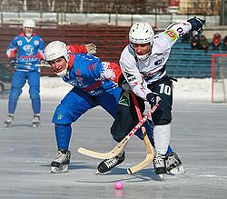 Varianter Hockey: Familj av lagspel