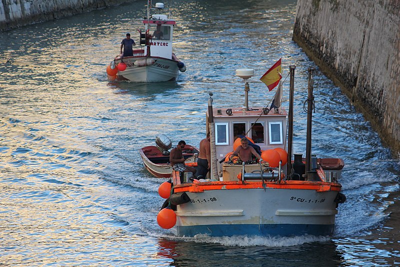 File:Barcas por el Foso - panoramio.jpg