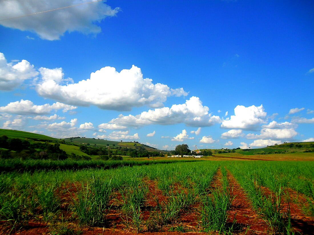 Barra do Jacaré