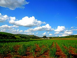 Barra do Jacaré – Veduta