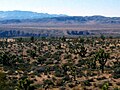 Beaver Dam Wash 2007.jpg