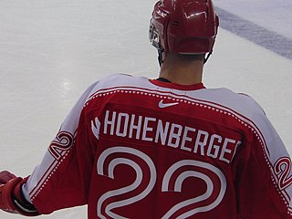 <span class="mw-page-title-main">Martin Hohenberger</span> Austrian ice hockey player