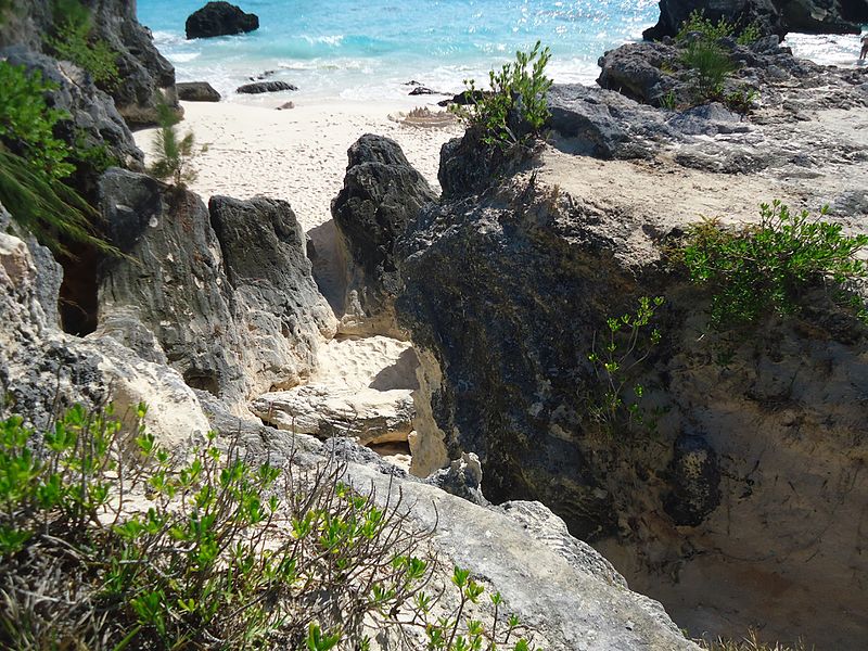 File:Bermuda (UK) image number 234 foliage sand ocean.jpg