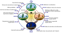 Biological clock human-fr.svg