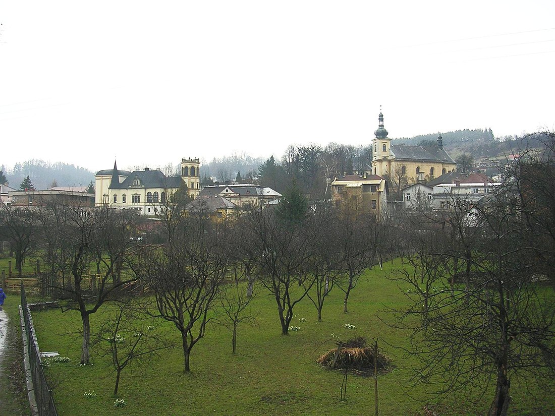 Brandýs nad Orlicí