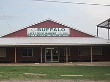 Buffalo的景色