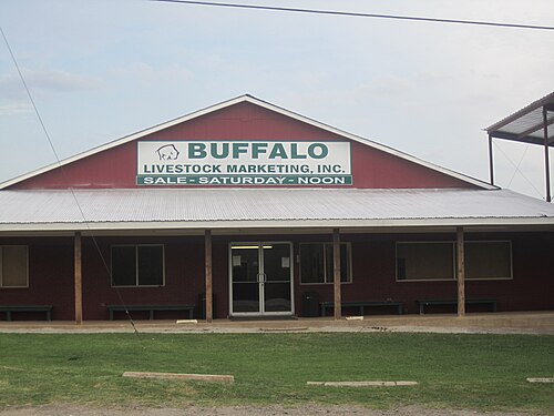 Buffalo chiropractor