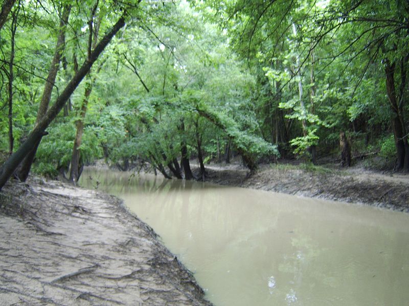 File:Buffalo Bayou.JPG