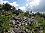 Buffalo Mountain Natural Area Preserve