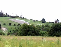 A kiwi cut into the hillside. The Bulford Kiwi near Bulford