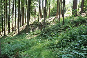 Burgstall Alter Rothenberg - Der nördliche Abraumhügel des Burgstalls (Juli 2010)