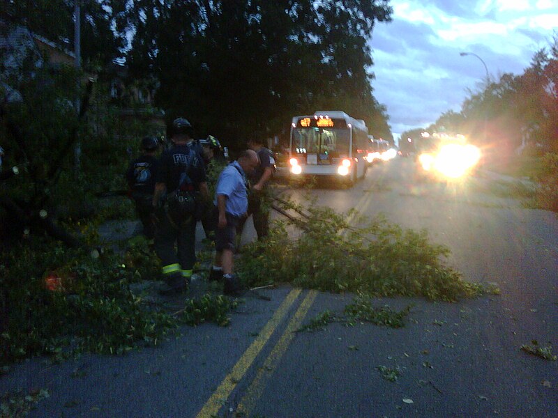 File:Bus hurricane damage 038 (6093188752).jpg