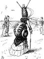 Il·lustració satírica que compara l'aspecte d'una dona amb polisson amb el d'un caragol que porta un vestit.