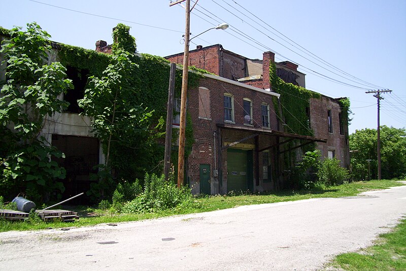 File:Cairo, IL downtown buildings 2.jpg