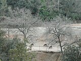 ]] (Vallès Occidental, Baix Llobregat, Barcelonès) (Sant Cugat del Vallès, Barcelona, Cerdanyola del Vallès i altres). This is a a photo of a natural area in Catalonia, Spain, with id: ES510066 Object location 41° 26′ 24″ N, 2° 06′ 36″ E  View all coordinates using: OpenStreetMap