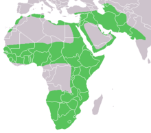 Caracal distribution.png