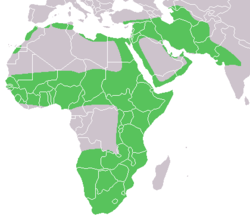 Distribution approximative du caracal