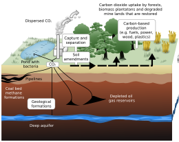 https://upload.wikimedia.org/wikipedia/commons/thumb/b/b5/Carbon_sequestration-2009-10-07.svg/260px-Carbon_sequestration-2009-10-07.svg.png