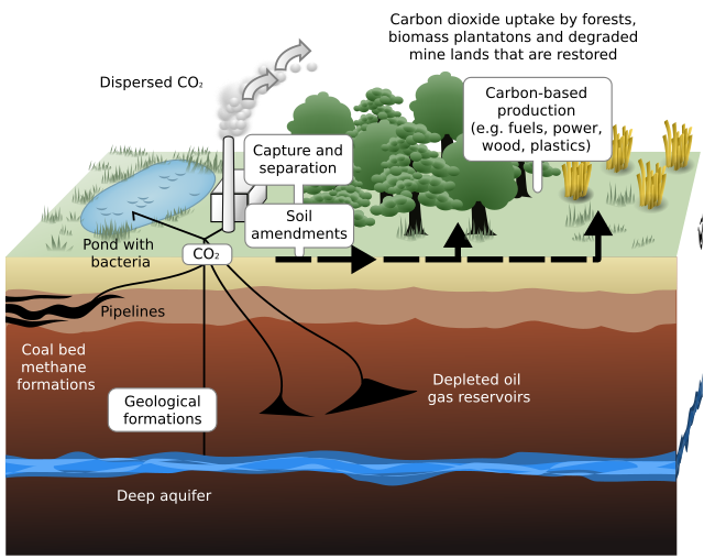 Carbon sequestration - Wikipedia