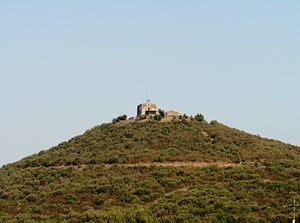 Castell de Torcafelló Vista.jpg
