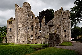 Castles of Munster, Mallow, Cork - geograph.org.uk - 1392955.jpg