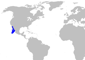 Beschreibung des Bildes Cephalurus_cephalus_distmap.png.