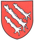 Coat of arms of Cerniaz