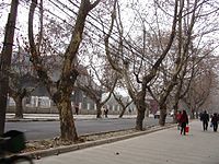 Daxue Road