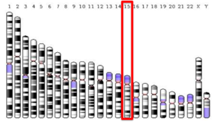 <span class="mw-page-title-main">C15orf39</span>