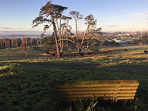 Churchill Park Glendowie.jpg