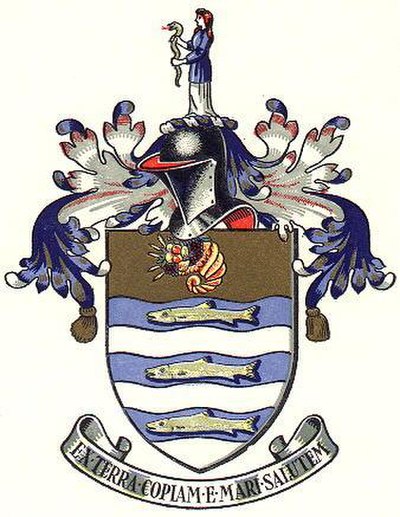 Coat of Arms of the Borough Council