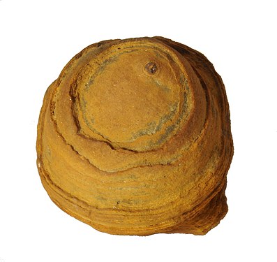 Sandstone concretion, Virginia