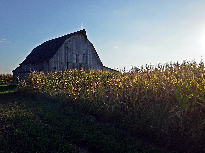 File:Corn Bin (6139493520).jpg