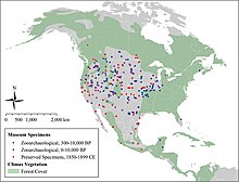 Coyote expansion over the past 10,000 years Coyote expansion past 10,000 years.jpg