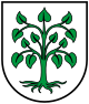 Schutterwald - Stema