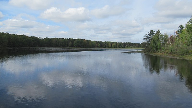 File:Dead Stream Flooding at the Reedsburg Dam.jpg