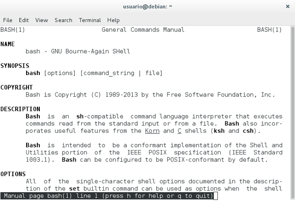 info bash terminal Debian