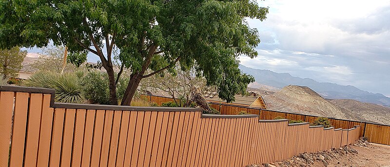 File:Desert great horned owl.jpg