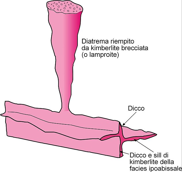 File:Diatrema 2.jpg