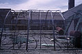 Dicksons Florist greenhouse frames 02.jpg