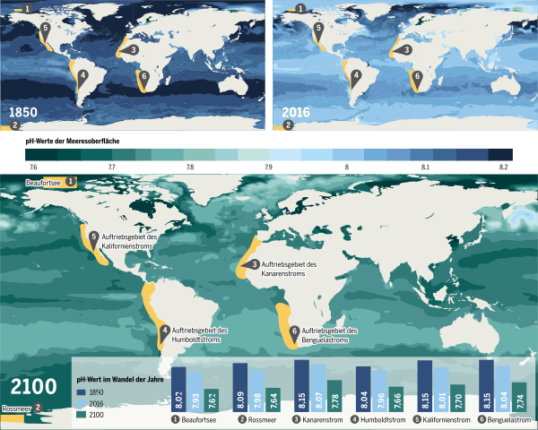 https://upload.wikimedia.org/wikipedia/commons/thumb/b/b5/Die_Versauerung_der_Meere_Entwicklung_der_PH-Werte_1850-2100.svg/600px-Die_Versauerung_der_Meere_Entwicklung_der_PH-Werte_1850-2100.svg.png