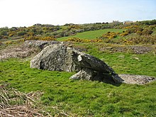 Din Dryfol Neolithic Burial Chamber Din Dryfol - geograph.org.uk - 787199.jpg