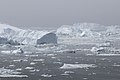 Icebergs in Disko Bay in Baffin Bay